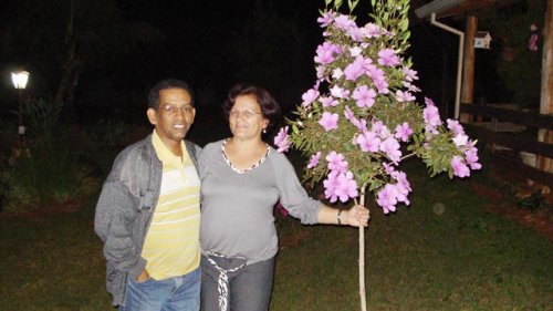 Detalhes Noticia
