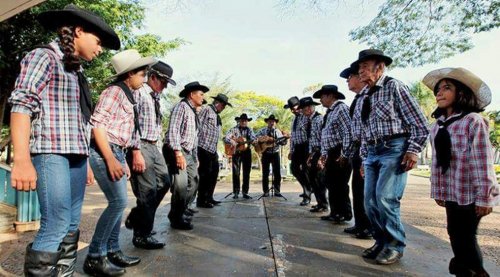 Detalhes Noticia