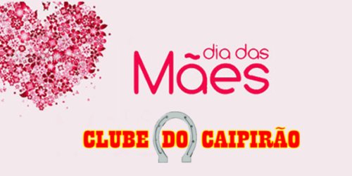 Detalhes Notícia