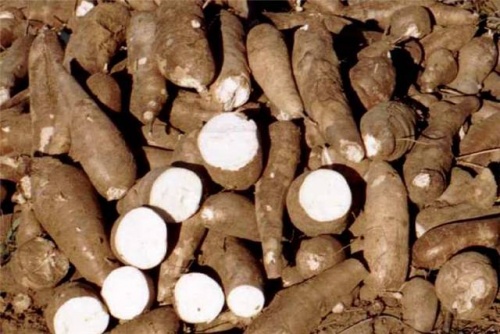 Detalhes Notícia