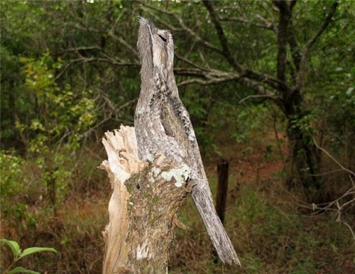 Detalhes Notícia