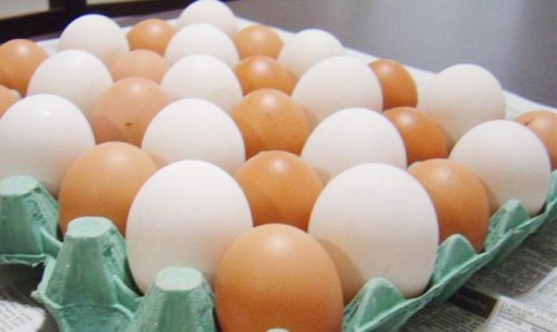 Detalhes Notícia