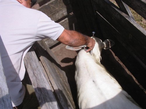 Detalhes Notícia