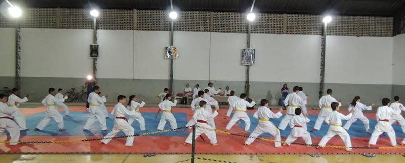Karatê retoma atividades