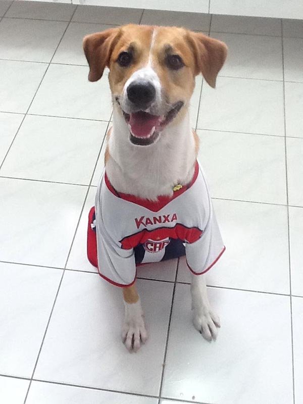 Narciso conta até com “torcida canina” pelo C.A. Penapolense