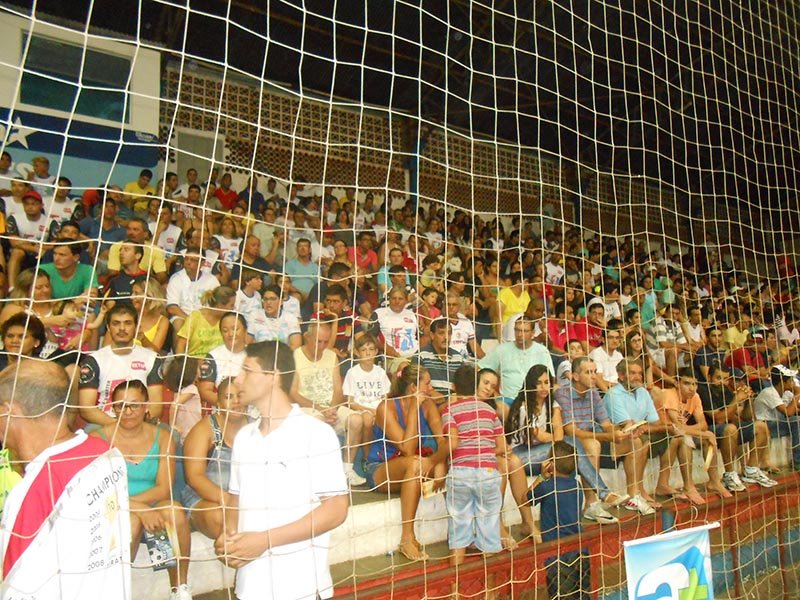 Cobras, Cobrinhas e Master terminam hoje