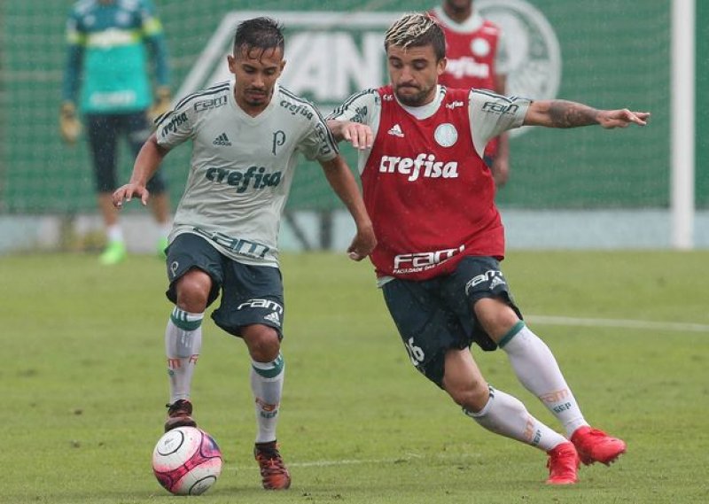 Clássico será o jogo de número 100 do Palmeiras no Allianz