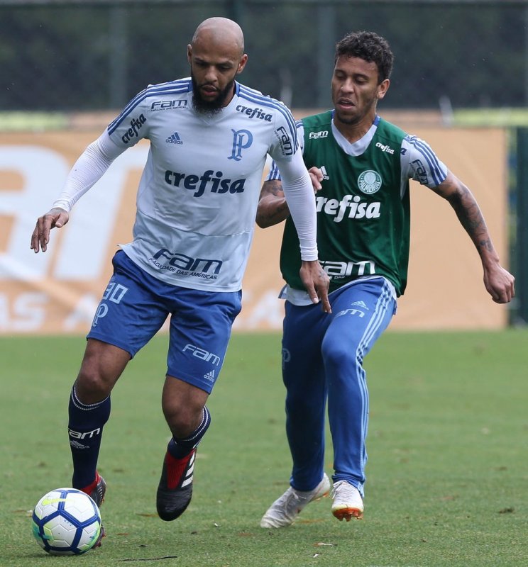 Verdão joga hoje contra o Bahia
