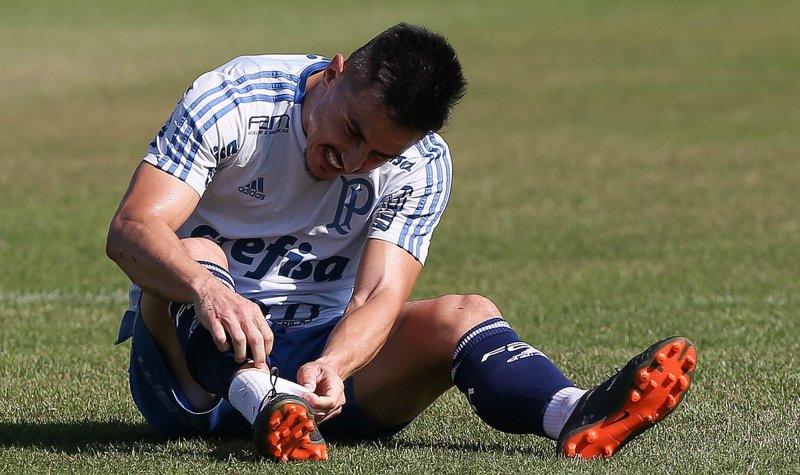Após eliminação, Palmeiras enfrenta Santos pelo Brasileirão