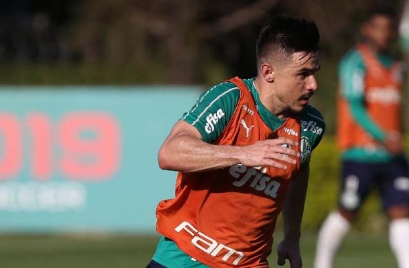 Palmeiras treina visando confronto contra o Atlético Mineiro