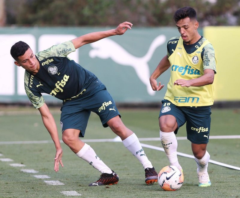 Palmeiras enfrenta o Bolívar pela Libertadores no Allianz Parque