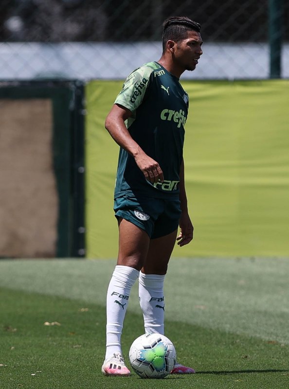 Em jogo atrasado, Palmeiras recebe o Vasco