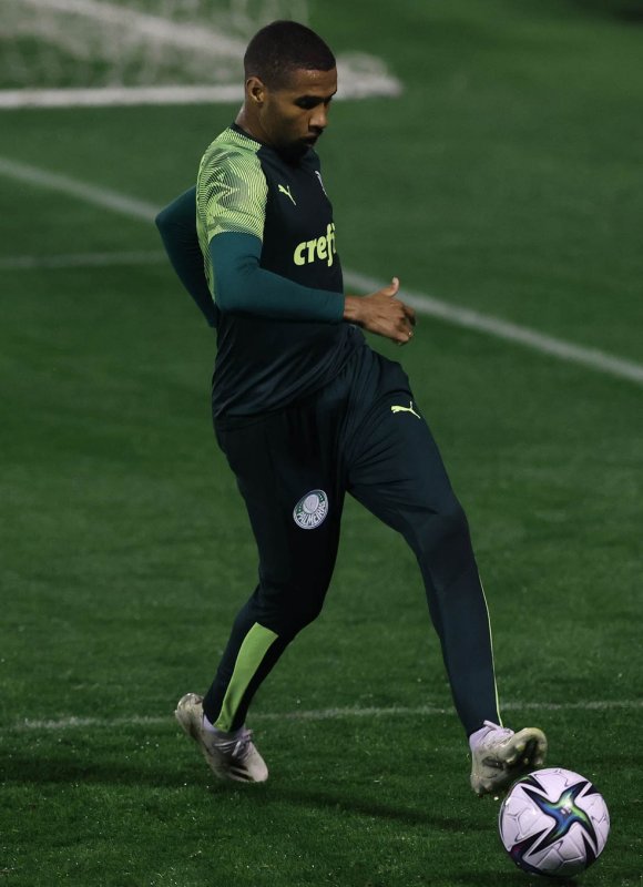 Palmeiras enfrenta o Tigres pelo Mundial de Clubes