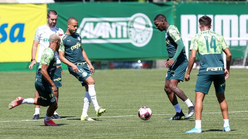 Palmeiras enfrenta hoje o São Caetano pelo Paulistão