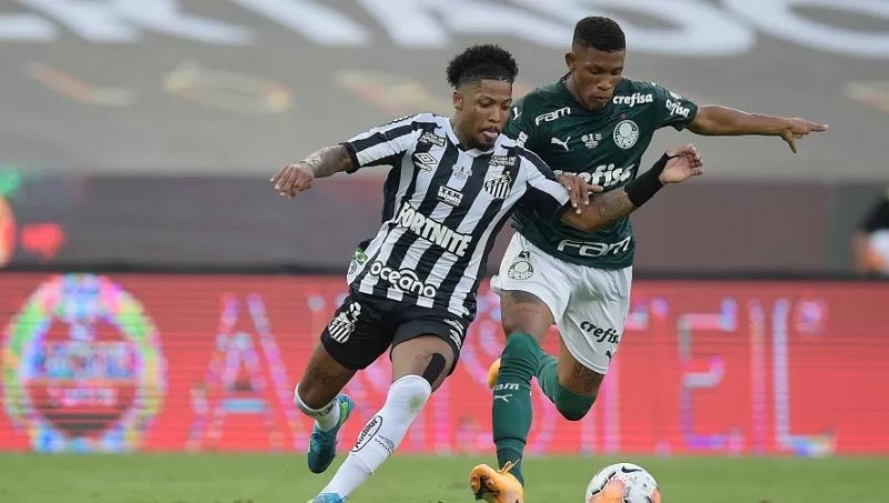 Paulistão: Palmeiras e Santos se enfrentam no Allianz