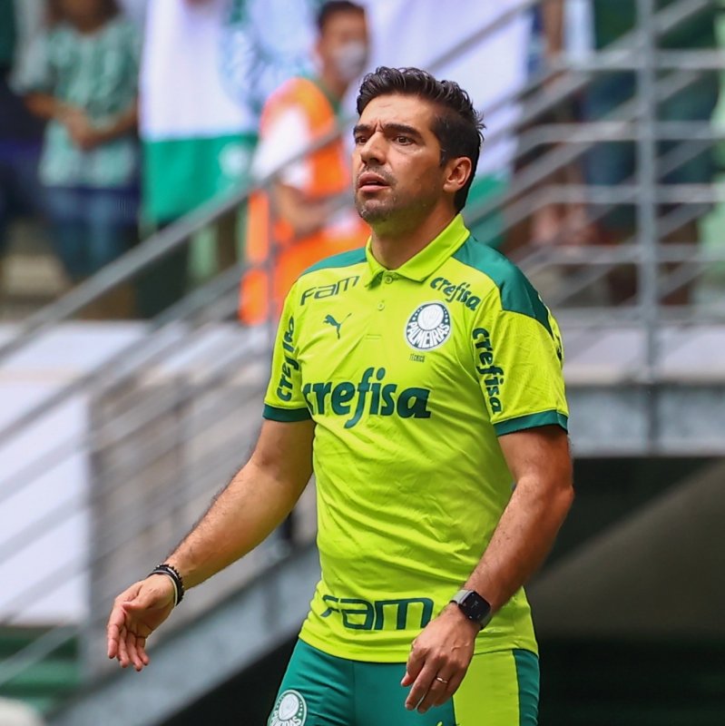 Abel não vê Palmeiras como favorito
