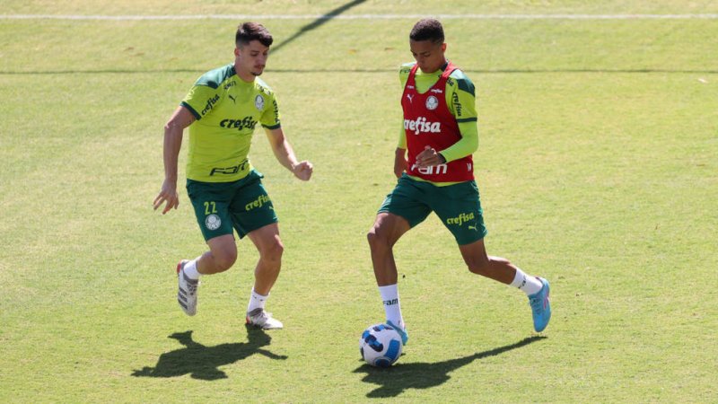 Palmeiras entra em campo hoje pela Libertadores
