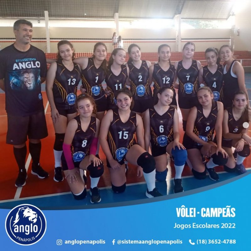 Equipe de Vôlei Feminino do Colégio Anglo de Penápolis é campeã dos jogos escolares