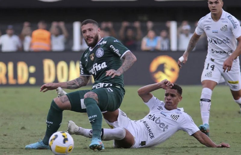 Palmeiras e Santos se enfrentam no Allianz Parque