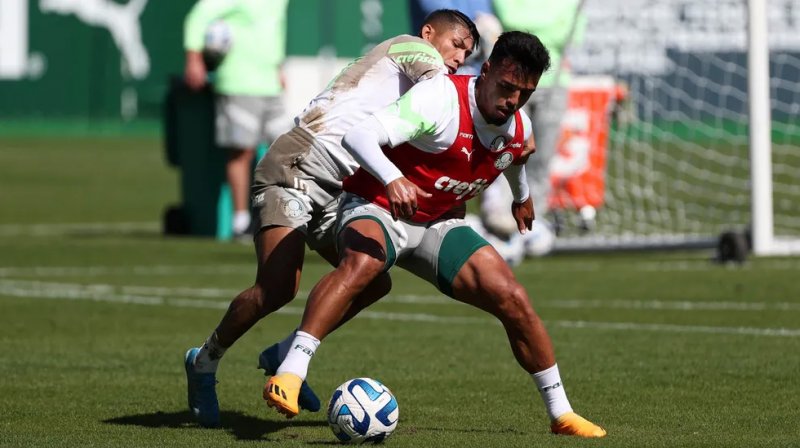 Libertadores: Palmeiras terá pelo menos duas mudanças hoje