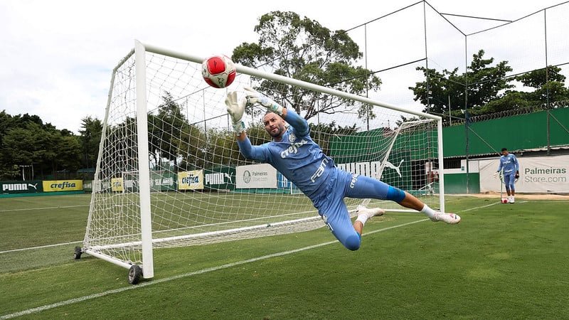 Palmeiras enfrenta o Novorizontino fora de casa