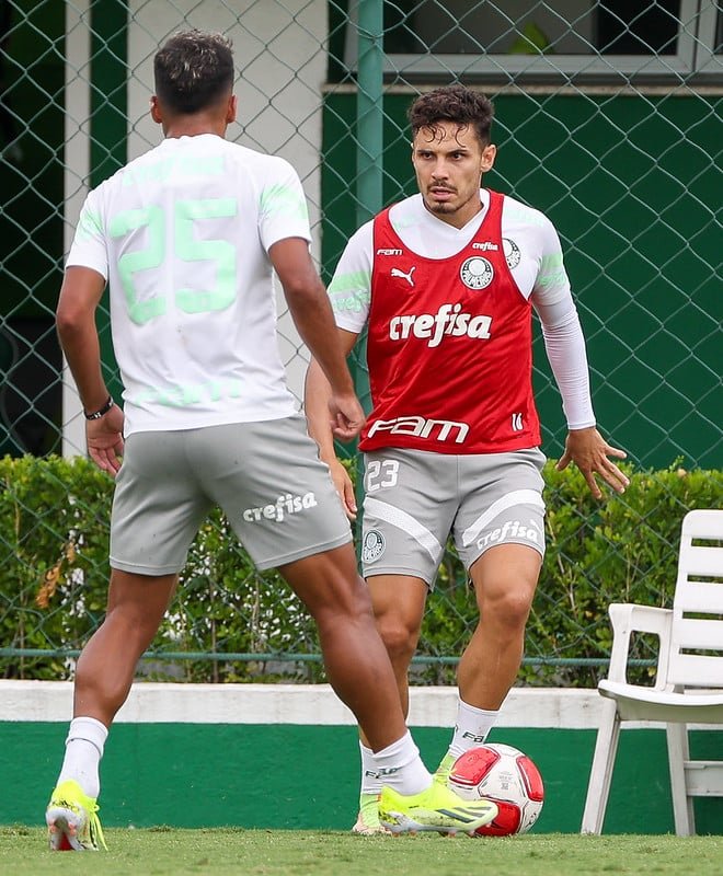 Palmeiras enfrenta o Botafogo em Barueri