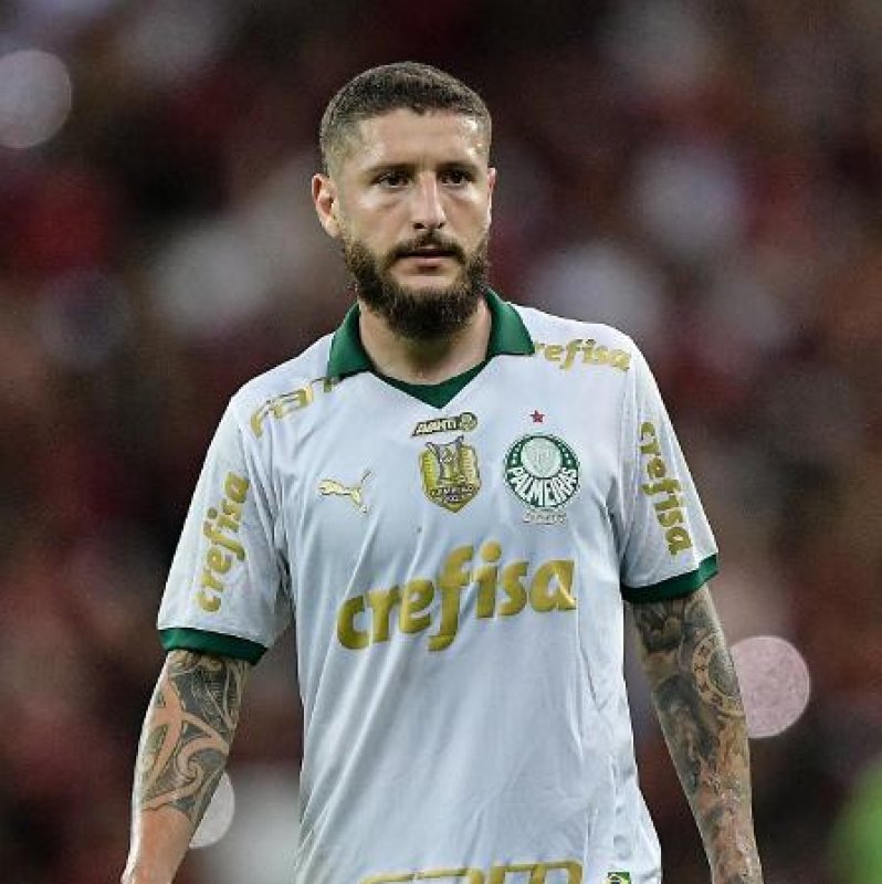 Santos pode acertar com Zé Rafael