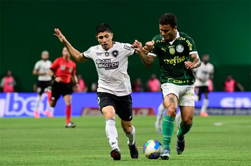 Botafogo não perde para o Palmeiras há mais de um ano e levou a melhor em jogos decisivos recentes