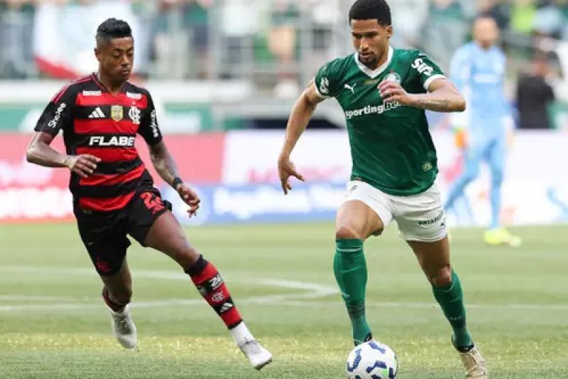 Palmeiras e Flamengo decidem Copa Libertadores