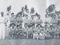 Detalhes Notícia