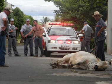 Imagem da Semana