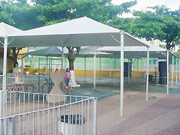 Carnaval no Penapolense: Diretoria aguarda um público de 20 mil pessoas