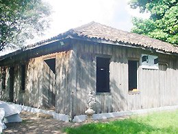 Detalhes Notícia