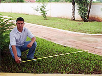 Detalhes Notícia