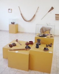 Detalhes Notícia