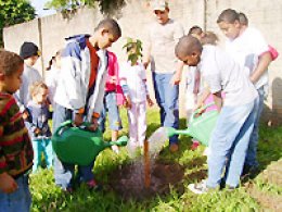 Meio Ambiente: Crianças do Cmei Tóquio arborizam praça do bairro