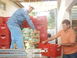 Alimentação saudável: Do produtor rural, direto para a merenda escolar