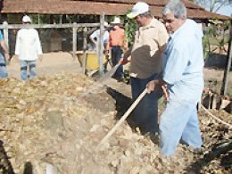Produtores se entusiasmam com olericultura orgânica