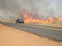 FOGO: Incêndio atinge palha de cana