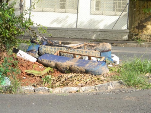 Perigo: Chuvas podem aumentar o número de focos da dengue