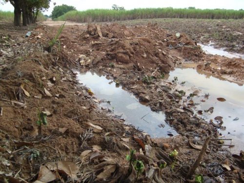 Moradores cobram melhorias na estrada do Barro Preto