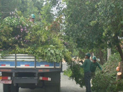 Prefeitura autoriza CPFL a fazer poda preventiva