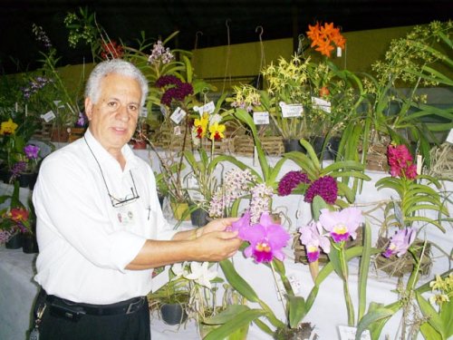 36ª exposição de orquídeas de Penápolis começa sexta