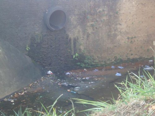 Cheiro forte e mato geram reclamações de moradores