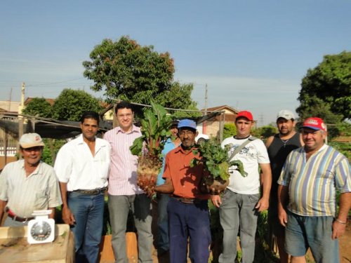 Horta Comunitária do Florença produz beterraba gigante