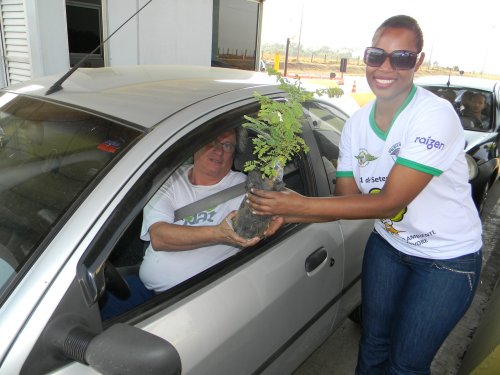 Polícia Ambiental distribui mudas de árvores para motoristas