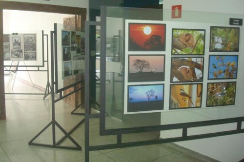 Mostra de Fotografias está aberta para votação pública