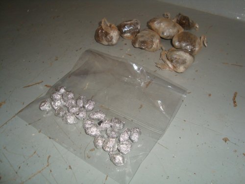 Servente é preso após ser flagrado com droga 