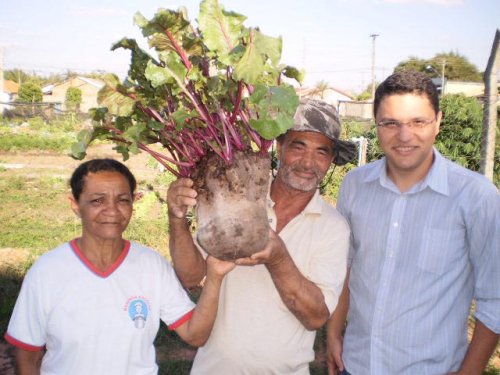 Horta do Del Rey produz beterraba recorde de quase 7kg