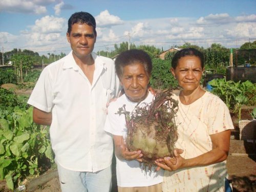 Horta do Del Rey volta produzir beterraba gigante